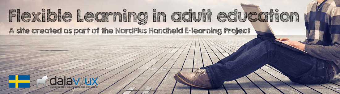 Flexible learning – handheld e-learning